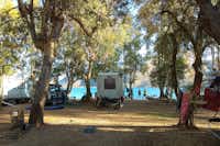 Elena's Beach Camping - Campingplatz mit Wohnmobilen und Campern, die auf das ionische Meer schauen