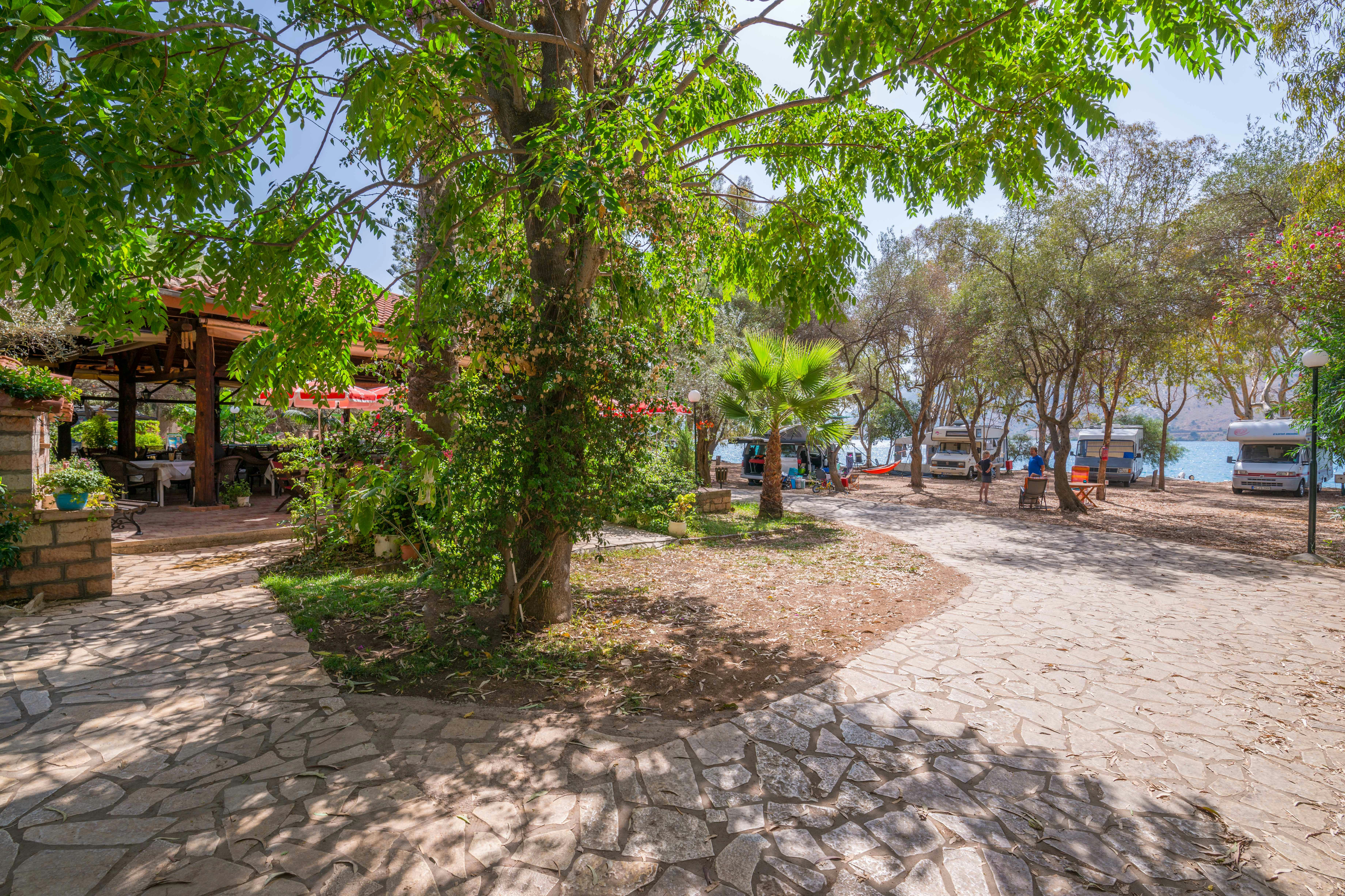 Elena's Beach Camping