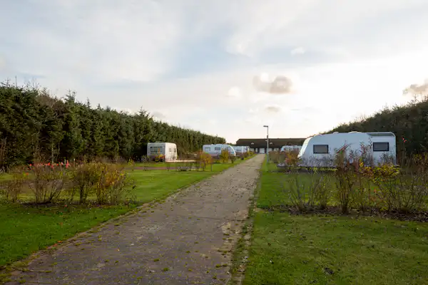 First Camp Klim Strand – Nordvestkysten