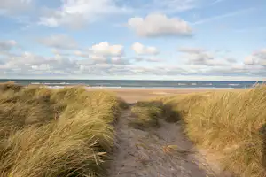 Weg durch Dünen zum Strand, dahinter Meer und Horizont unter bewölktem Himmel.