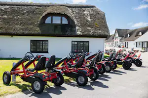 Reihe roter und schwarzer Go-Karts vor einem Reetdach-Haus mit grünen Fenstern und Rasenstreifen am Weg.