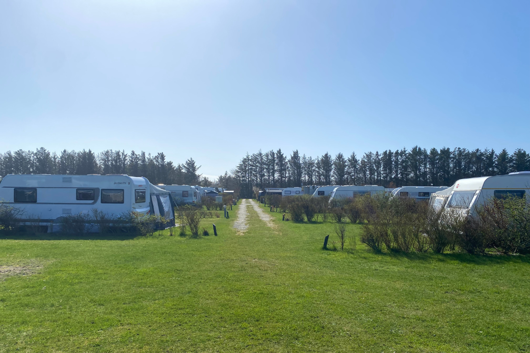 Elite Camp Løkken Klit - Standplatzwiese auf dem Campingplatz