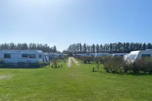 Elite Camp Løkken Klit - Standplatzwiese auf dem Campingplatz