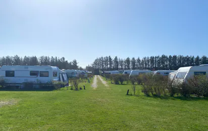 Løkken Klit Camping
