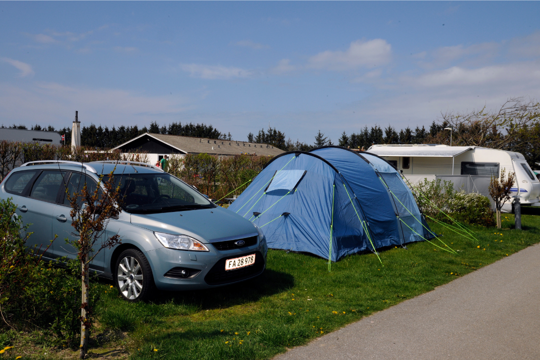 Elite Camp Løkken Klit - Wohnmobil- und Wohnwagenstandplätze auf der Wiese