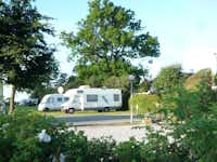 Elsegårde Camping - Campingbereich für Wohnwagen im Schatten der Bäume