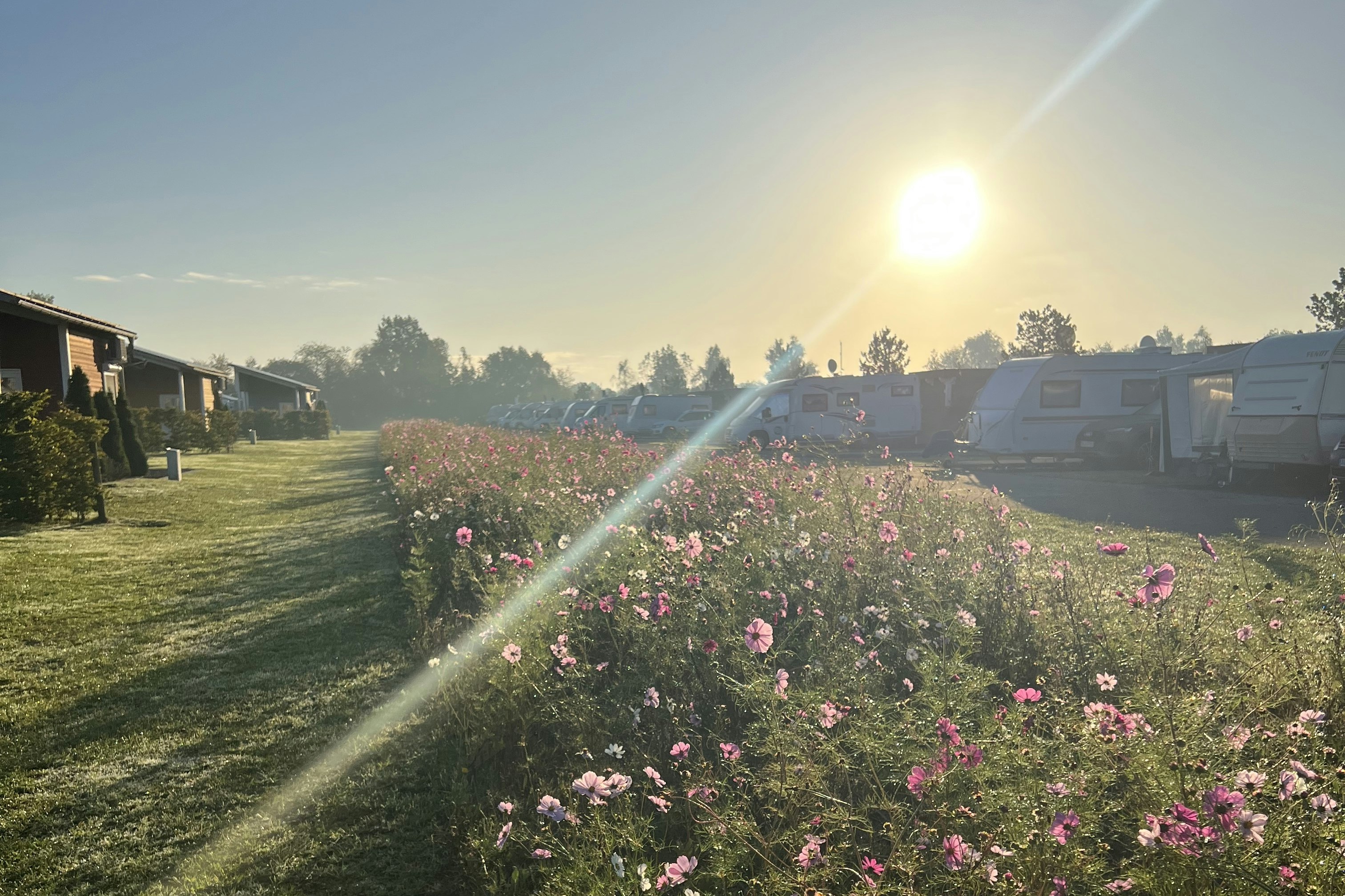 Emsland-Camp - Standplätze an der Blumenwiese auf dem Campingplatz