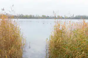 Erholungscenter Jersleber See - Blick auf den See am Campingplatz