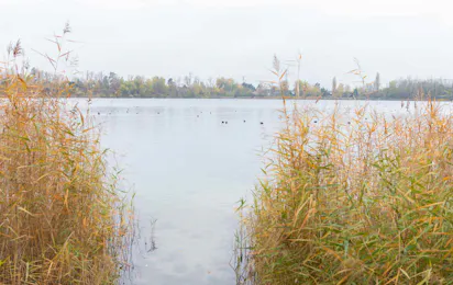 Camping & Erlebnis Resort Jersleber See