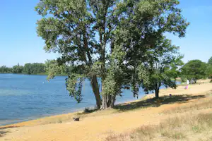 Erholungscenter Jersleber See - Blick auf den Strand am Jersleber See im Sommer
