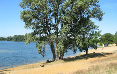 Camping & Erlebnis Resort Jersleber See