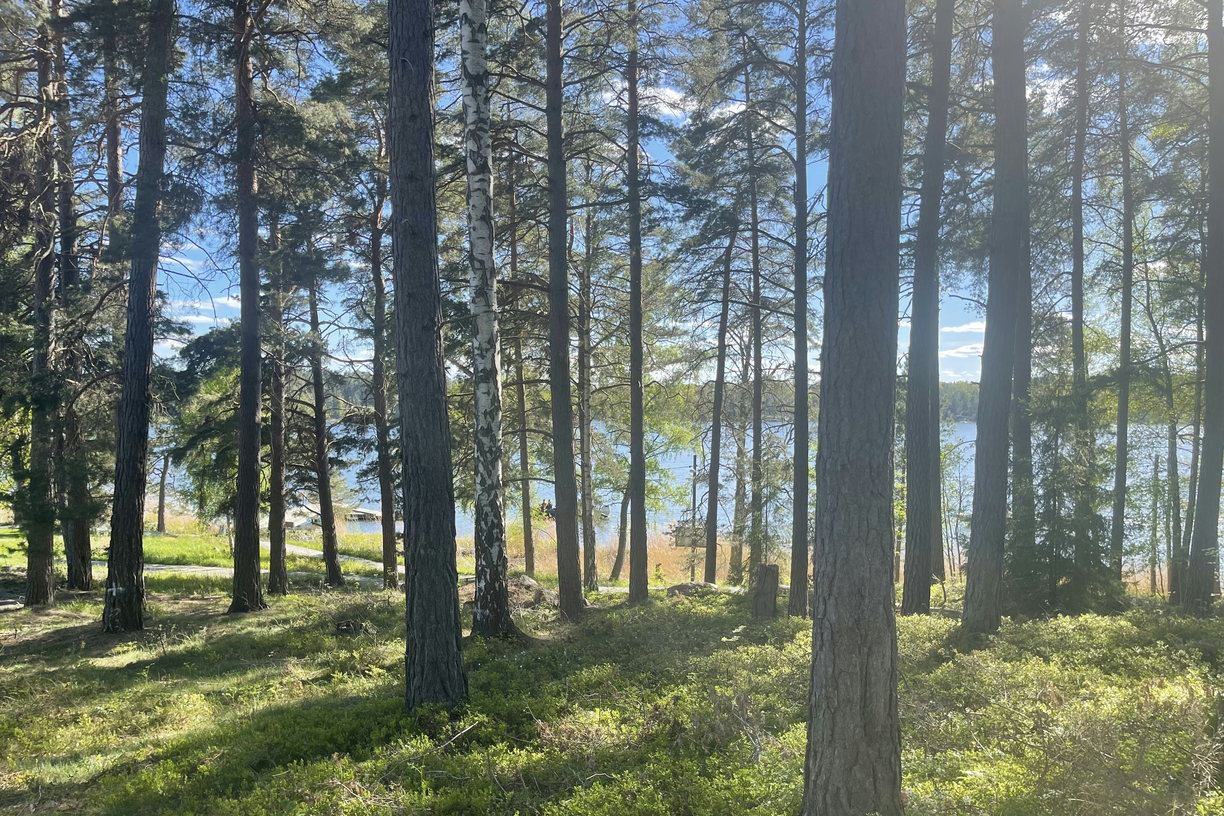 WAXHOLMS CAMPING - Blick in die Natur