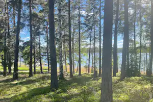 WAXHOLMS CAMPING - Blick in die Natur