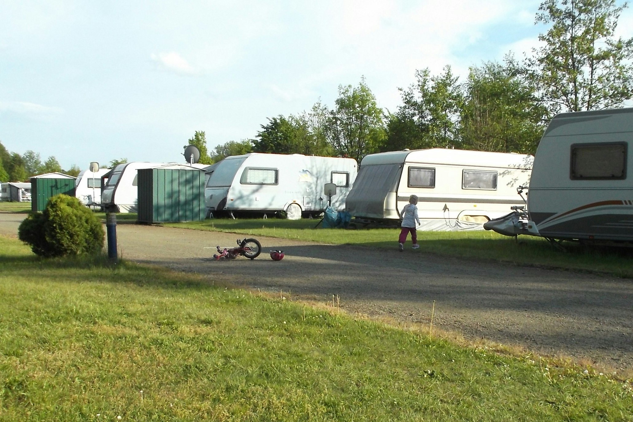 ErlebnisCamping Lausitz - Stellplätze im Schatten unter Bäumen auf dem Campingplatz