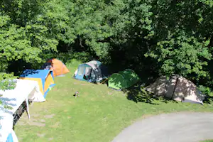 Kneipp- und Erlebnis Camping an den Spreewaldfließen - Zeltwiese umringt von Wald