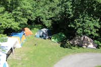 Kneipp- und Erlebnis Camping an den Spreewaldfließen  - Zeltwiese umringt von Wald