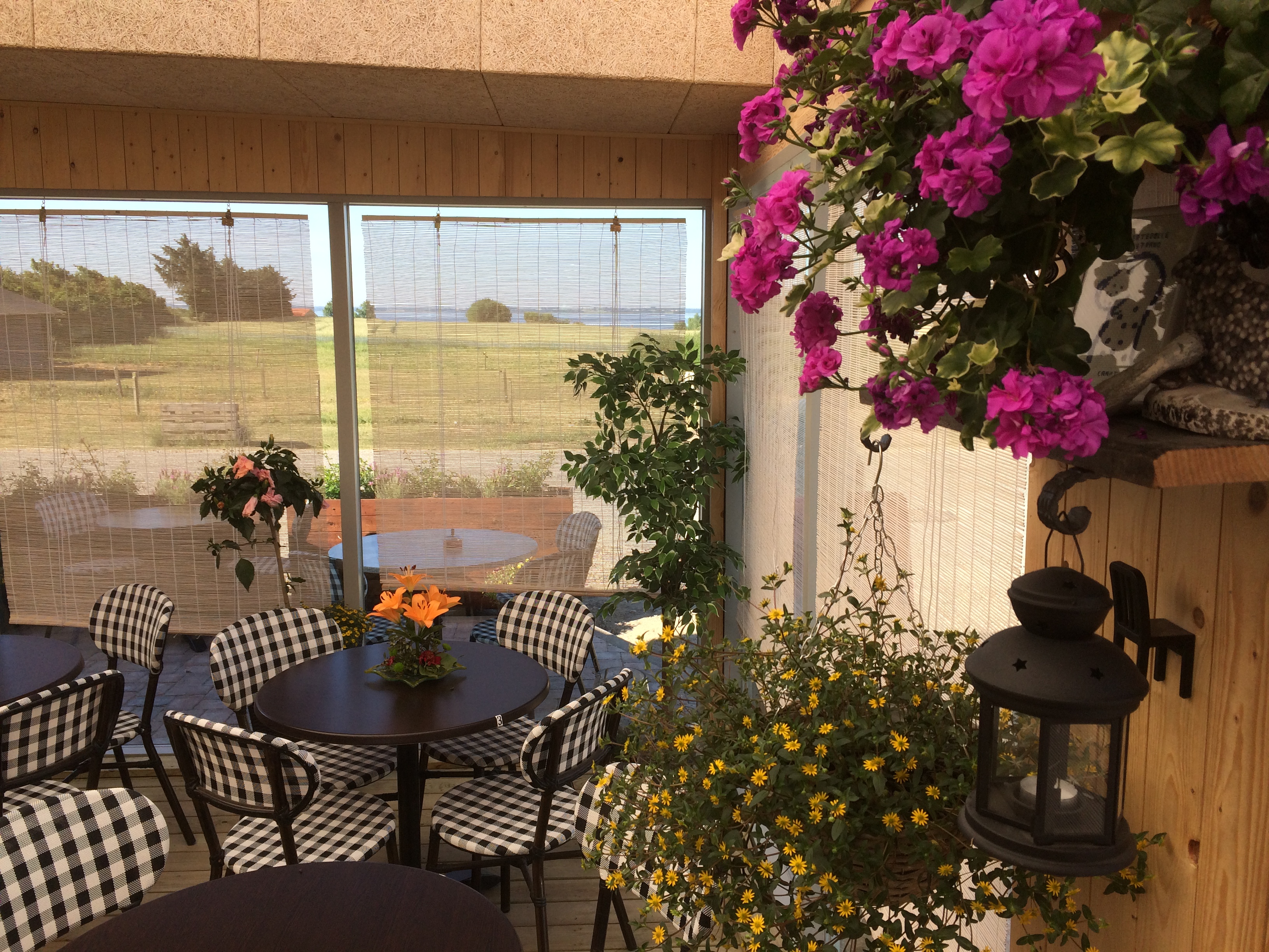 Ertebølle Strand Camping