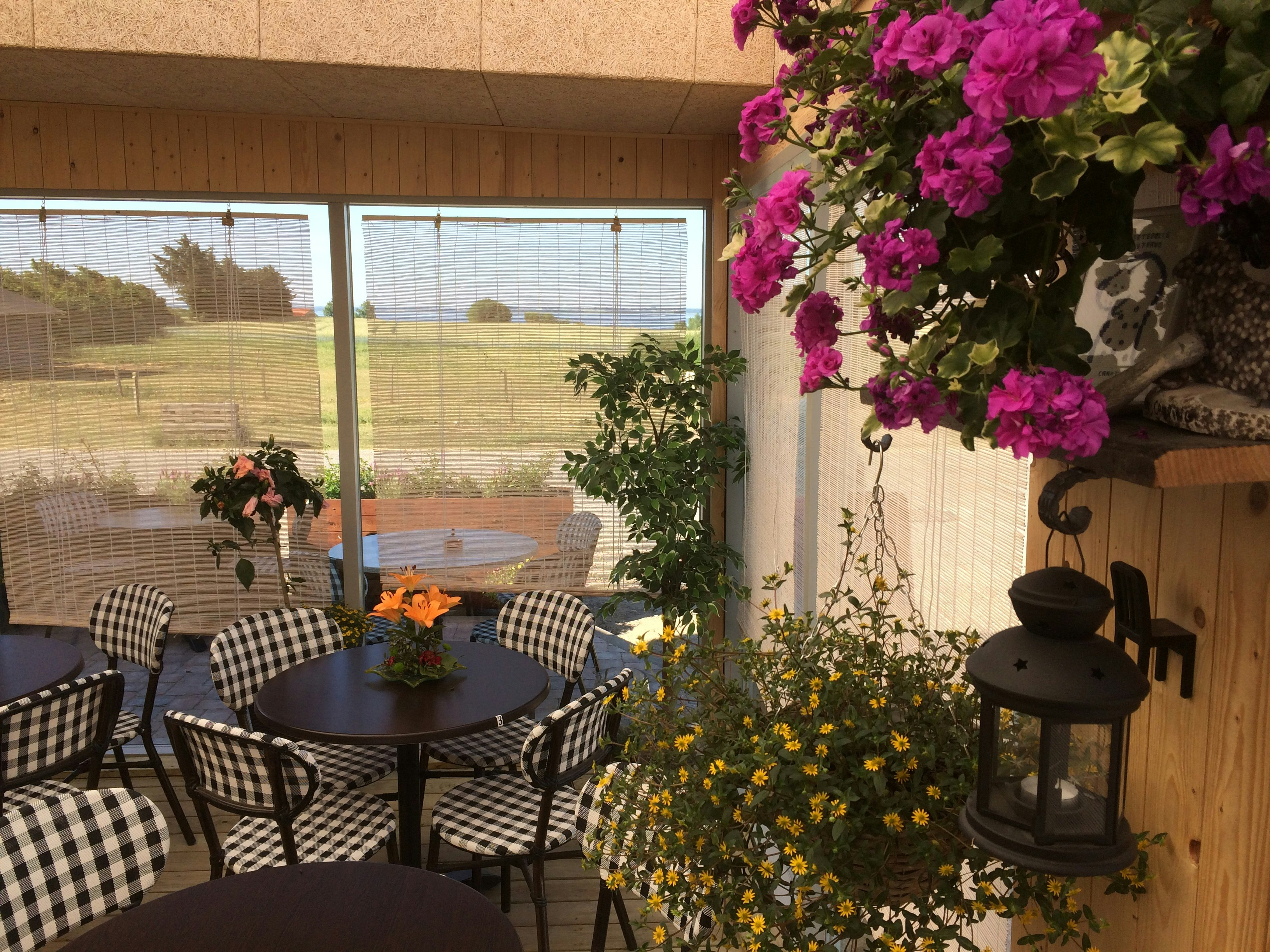 Ertebølle Strand Camping