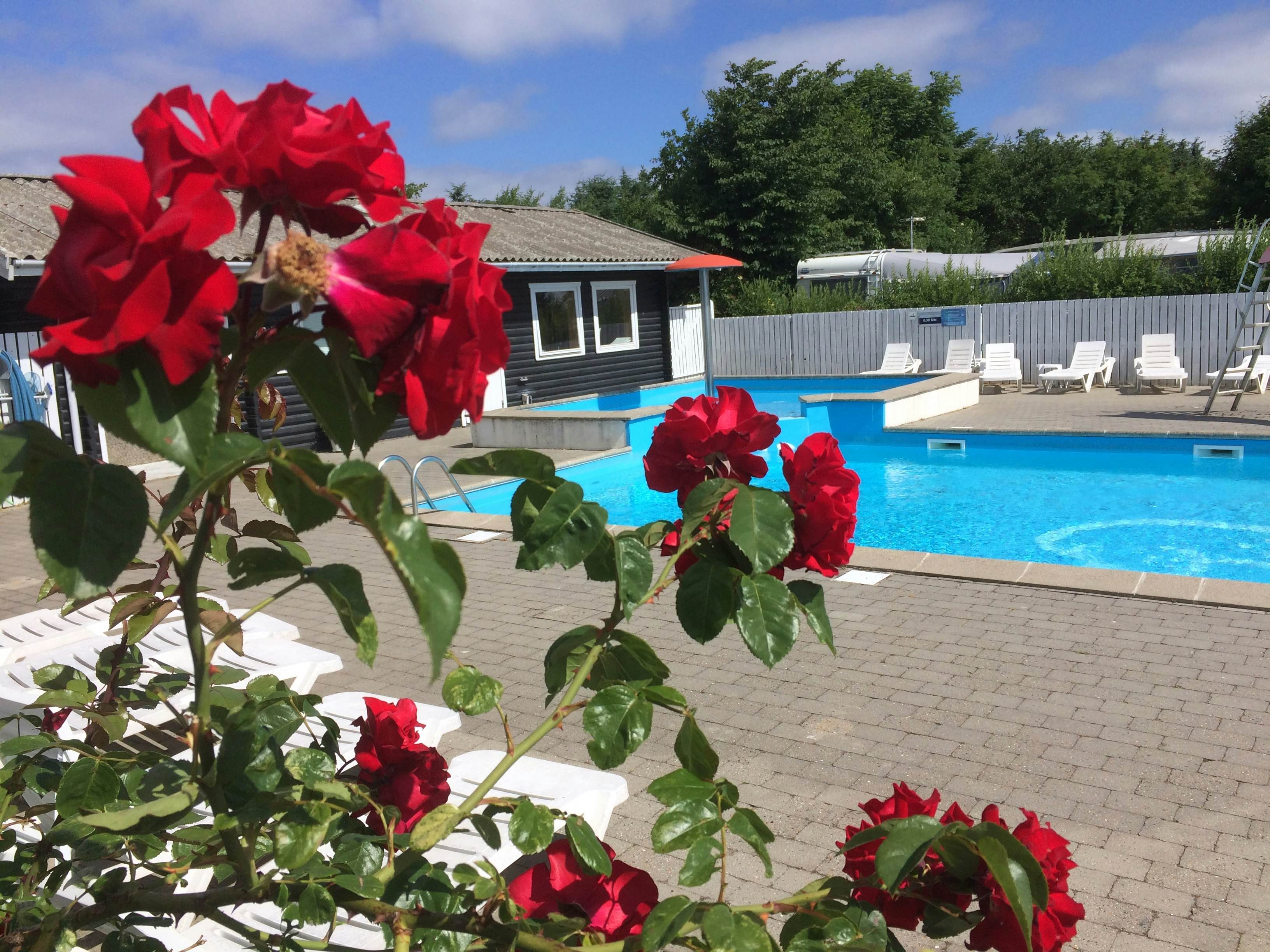 Ertebølle Strand Camping