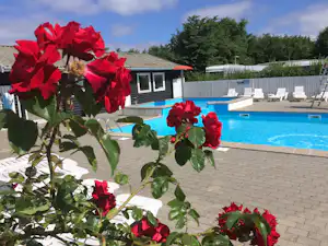 Ertebølle Strand Camping