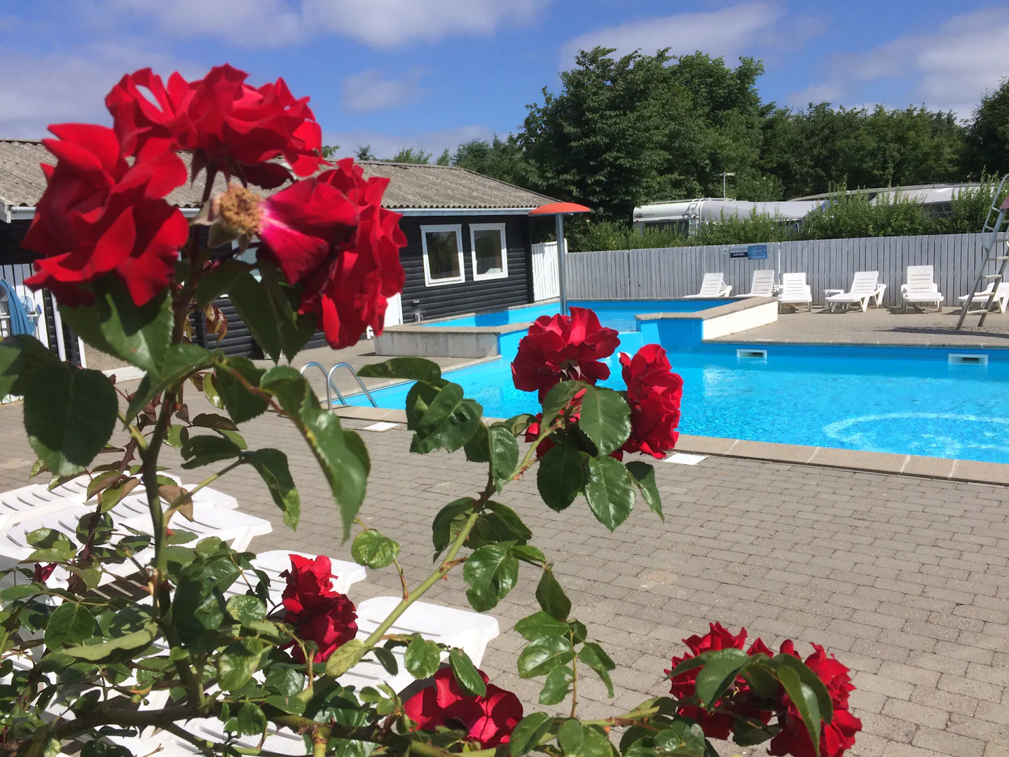 Ertebølle Strand Camping