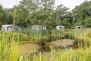 Erve Wezenberg - Standplätze am Ufer des Teichs auf dem Campingplatz