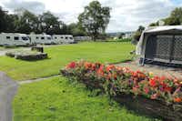 Erwlon Caravan & Camping Park -  Wohnwagenstellplätze im Grünen auf dem Campingplatz