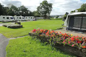 Campingplatz mit Wohnwagen, gepflegtem Rasen und buntem Blumenbeet, im Hintergrund weitere Fahrzeuge und Bäume.