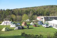 Erzgebirgscamp Neuclausnitz  - Zeltwiese auf dem Campingplatz