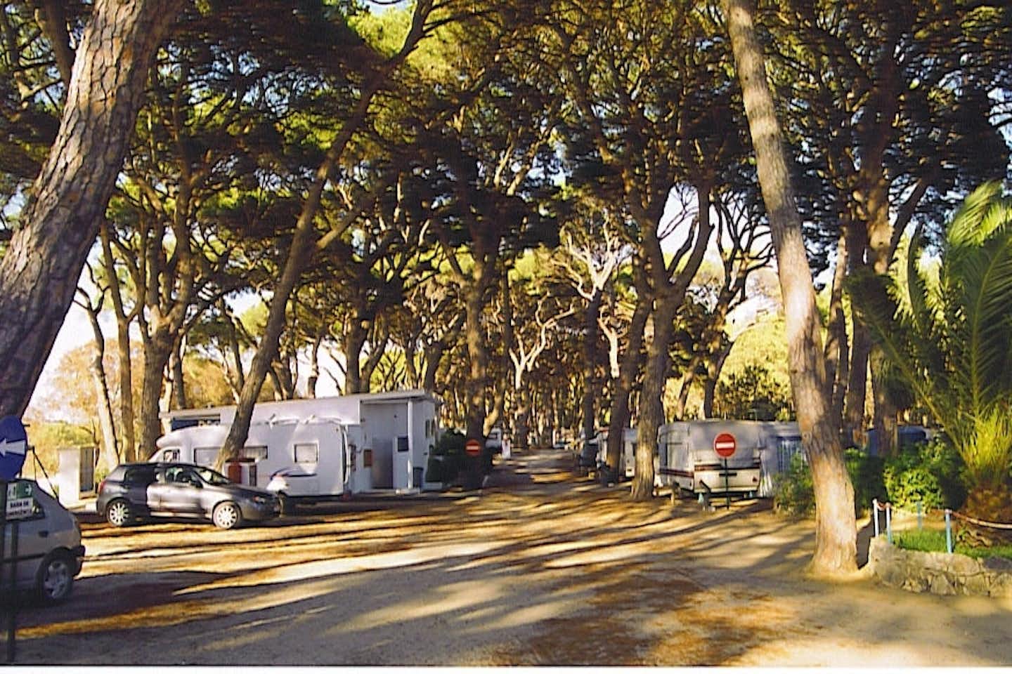 Escaroupim  Parque de Campismo de Escaroupim - Allee mit Wohnwagen auf Stellplätzen an beiden Seiten