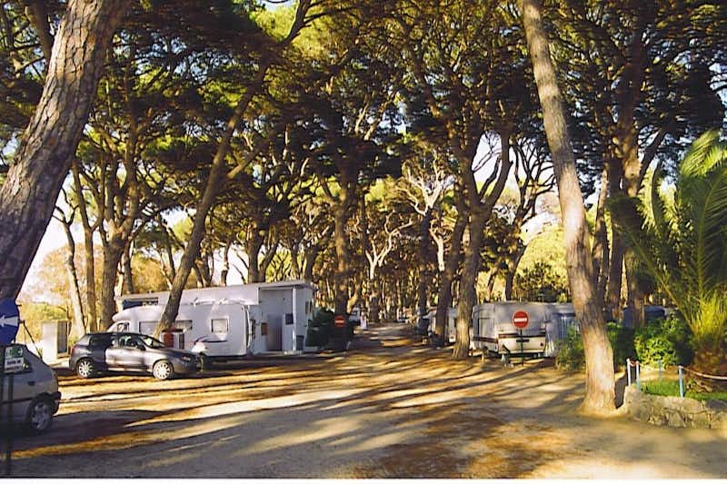 Escaroupim  Parque de Campismo de Escaroupim - Allee mit Wohnwagen auf Stellplätzen an beiden Seiten