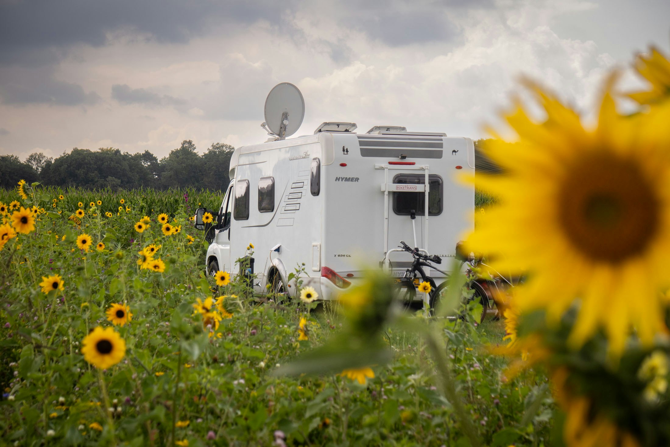 Esch Camping Kaampert