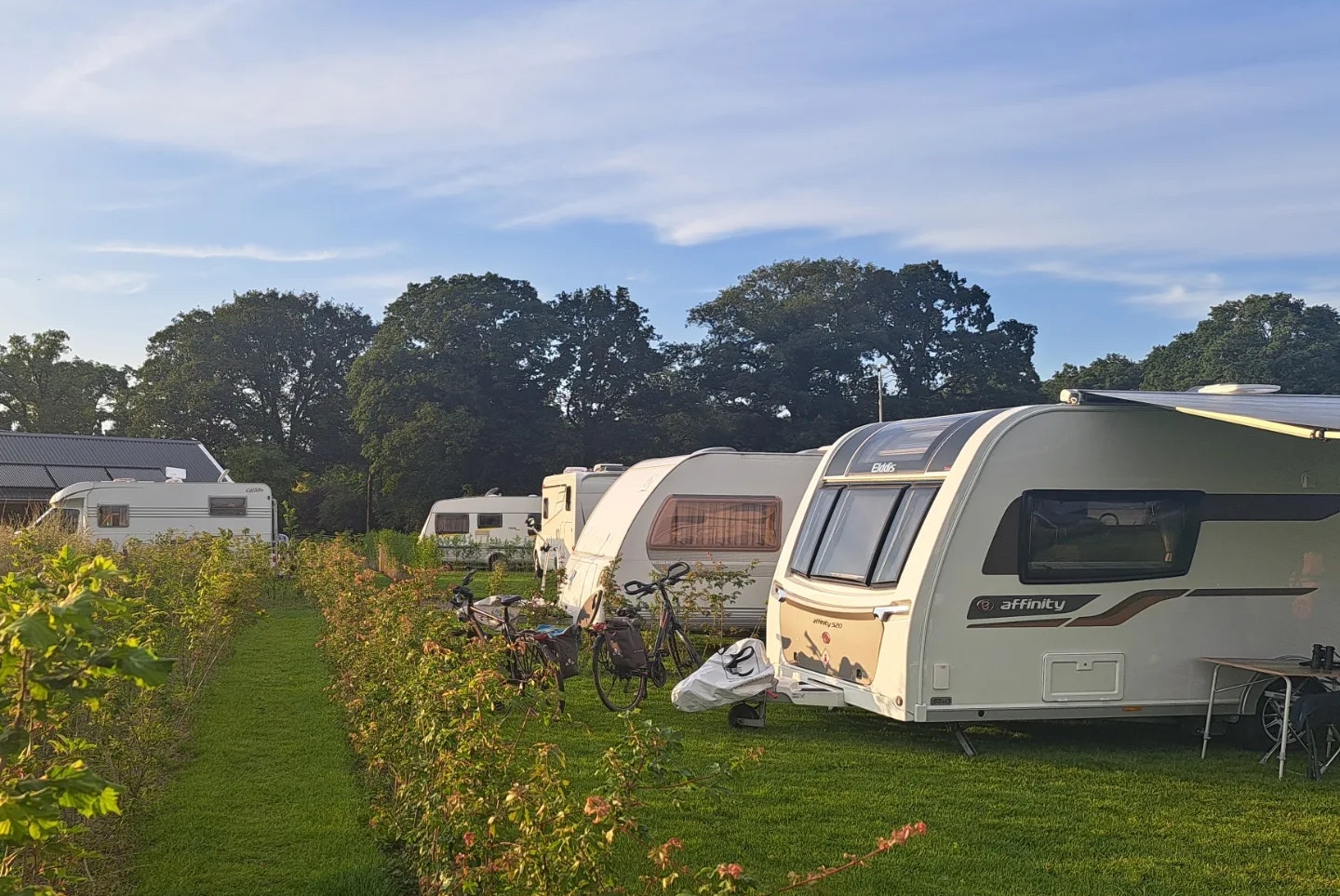 Esch Camping Kaampert - Standplätze auf dem Campingplatz