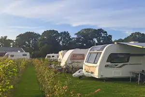 Esch Camping Kaampert - Standplätze auf dem Campingplatz