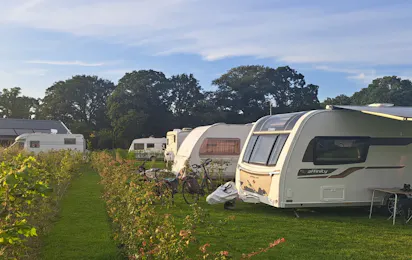Esch Camping Kaampert