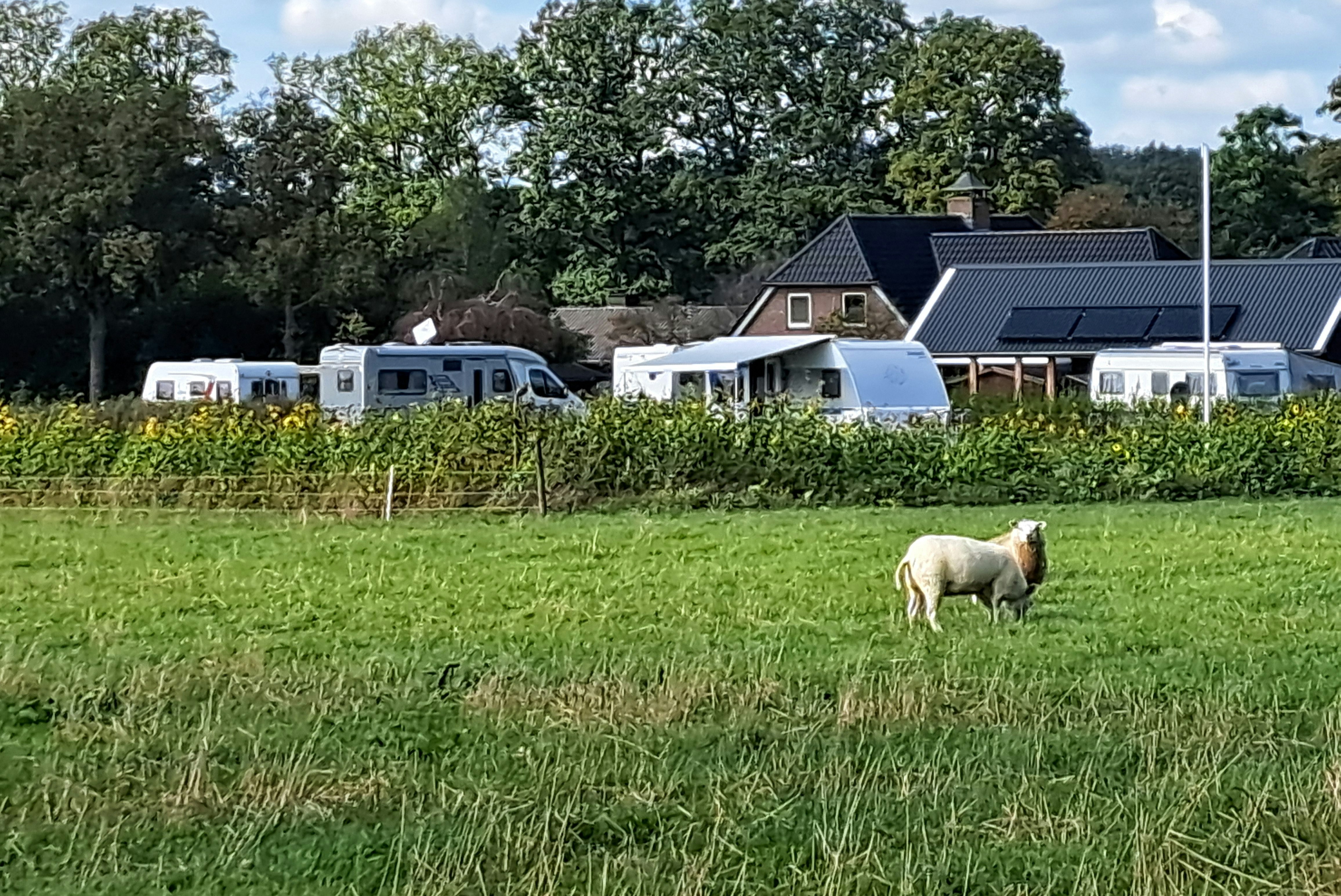 Esch Camping Kaampert - Standplätze im Grünen auf dem Campingplatz