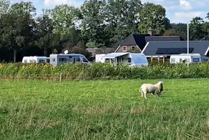 Esch Camping Kaampert - Standplätze im Grünen auf dem Campingplatz