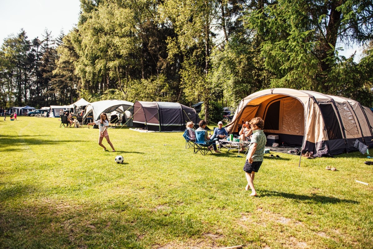 Eurocamping Vessem - Standplatzwiese auf dem Campingplatz