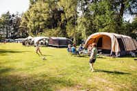 Eurocamping Vessem - Standplatzwiese auf dem Campingplatz