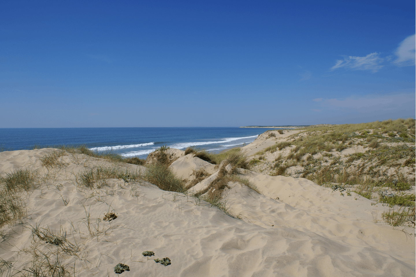 Euronat FKK-Camping - Blick auf den idyllischen Strand