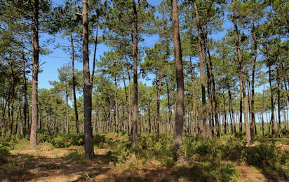 Euronat FKK-Camping