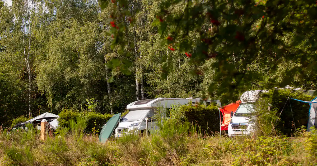 Europacamp Saint-hubert photo 4