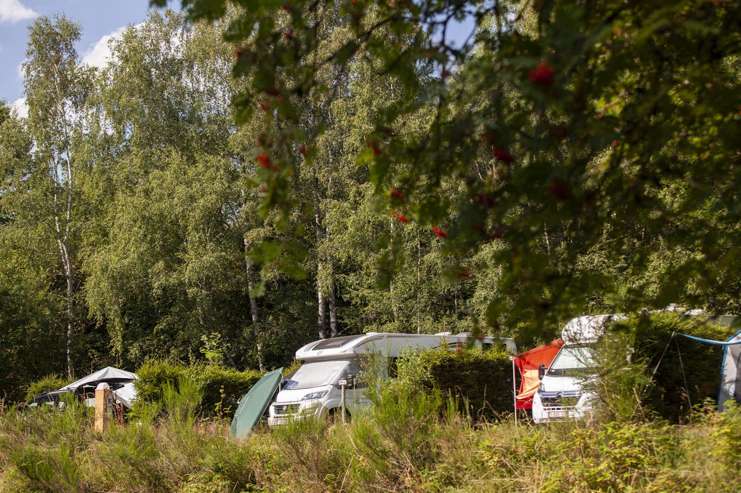 Europacamp Saint-hubert - Umgeben von Wald Wohnmobil un Wohnwagen Stellplaetze