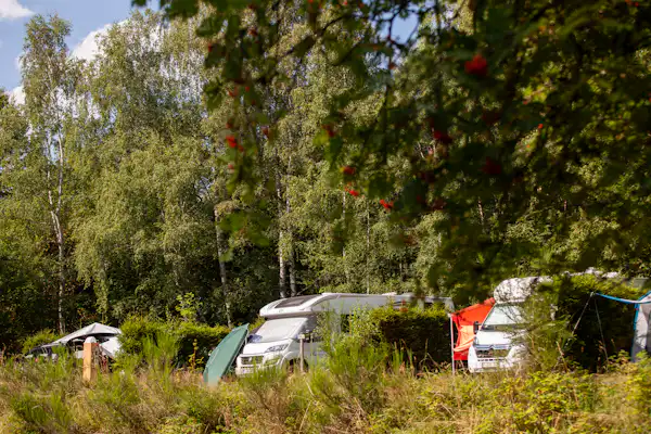 Europacamp Saint-hubert