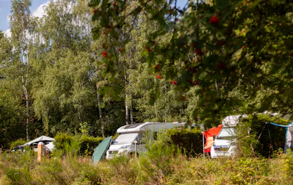 Europacamp Saint-hubert
