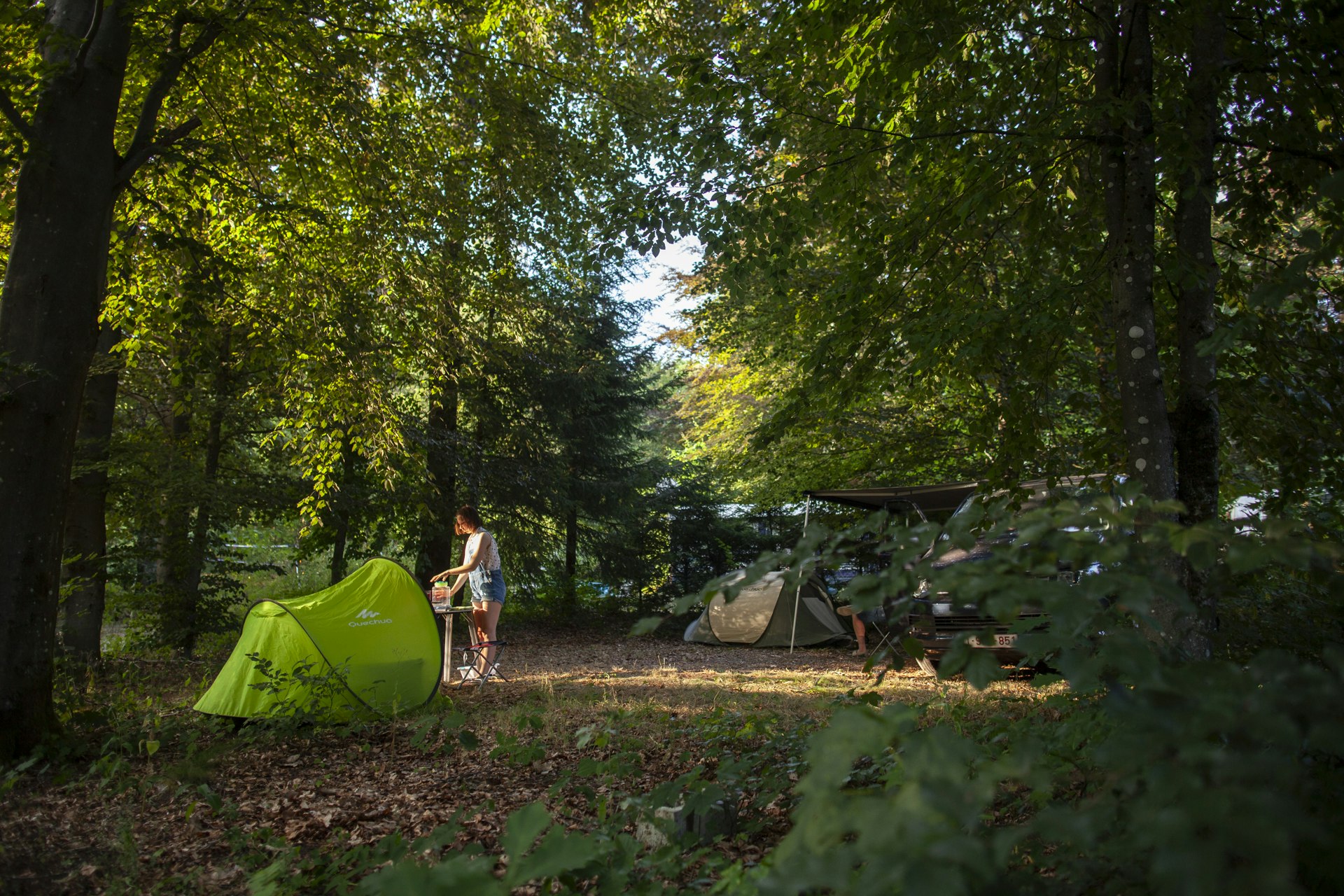 Europacamp Saint-hubert - Zeltplaetze im gruenen auf dem Campingplatz