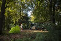 Europacamp Saint-hubert - Zeltplaetze im gruenen auf dem Campingplatz