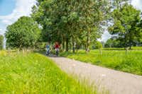 EuroParcs aan de Maas - Gäste fahren Fahrrad in der Umgebung des Campingplatzes