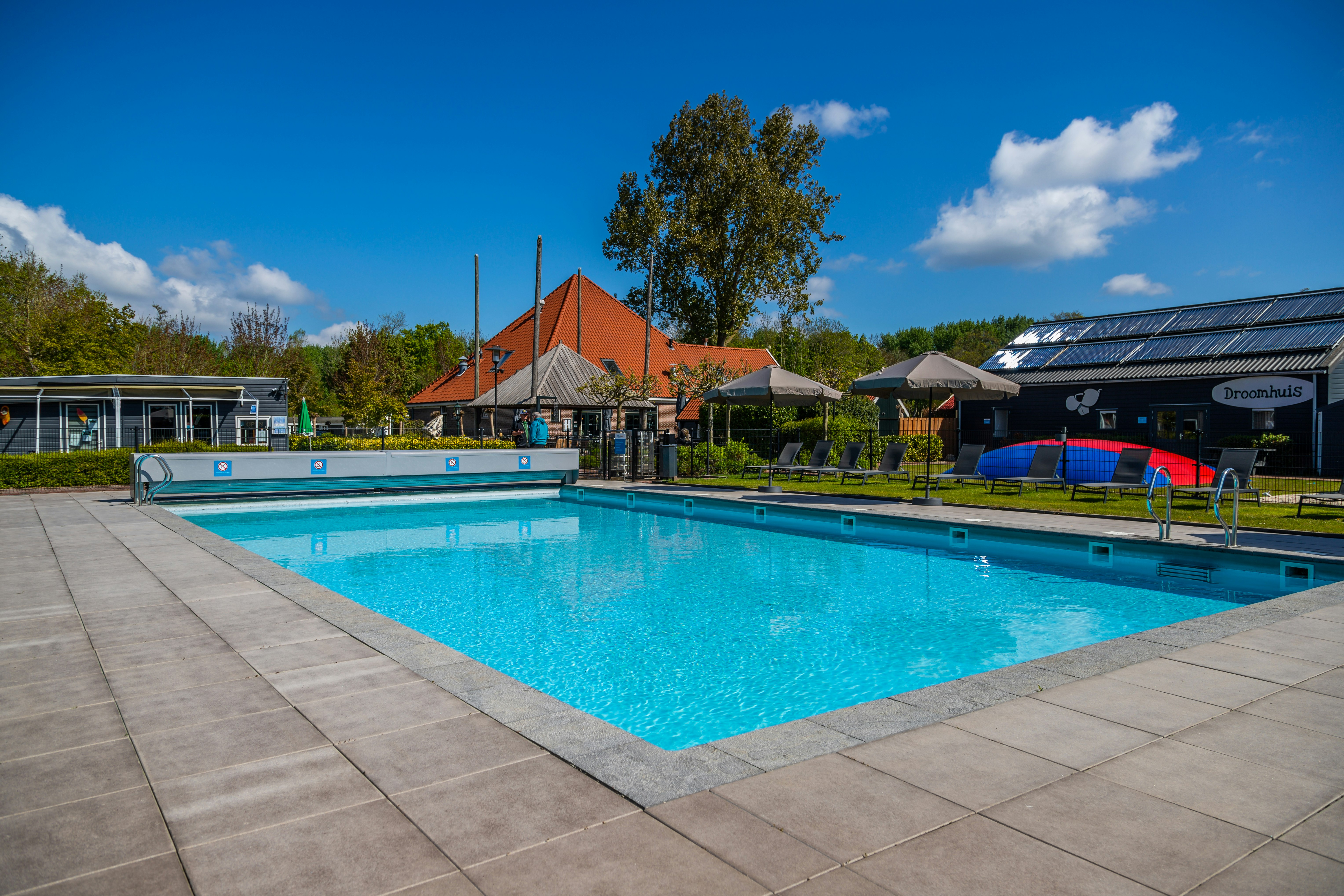 EuroParcs Buitenhuizen - Pool im Freien auf dem Campingplatz