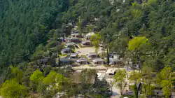 EuroParcs Hoge Kempen